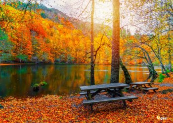 Yedigöller Turları